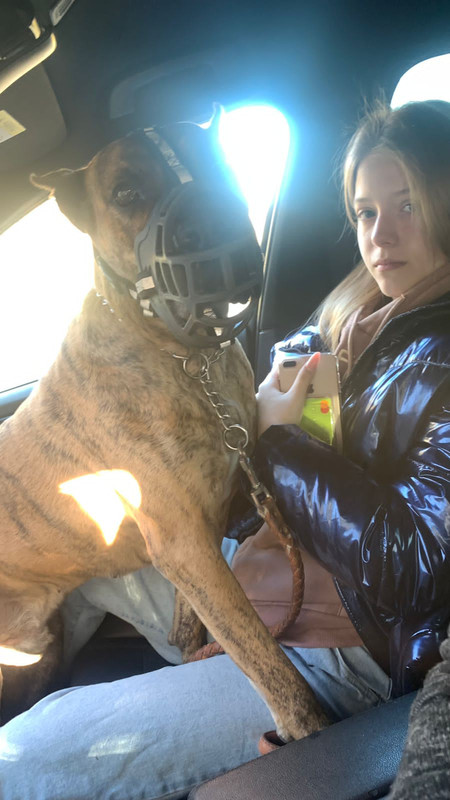 1BDF6DF5-2C6E-412B-8B69-0598B1D667FC