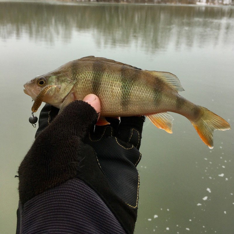 4B643F48-988F-4243-B00E-C94F1BEB8760