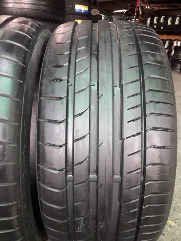 61126507_2362652880466288_8350378852580589568_n