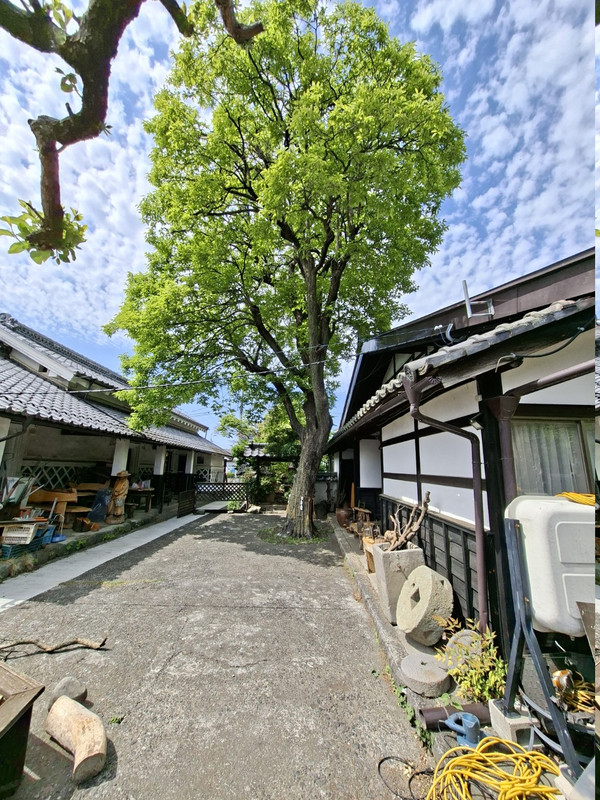 20260516 135359