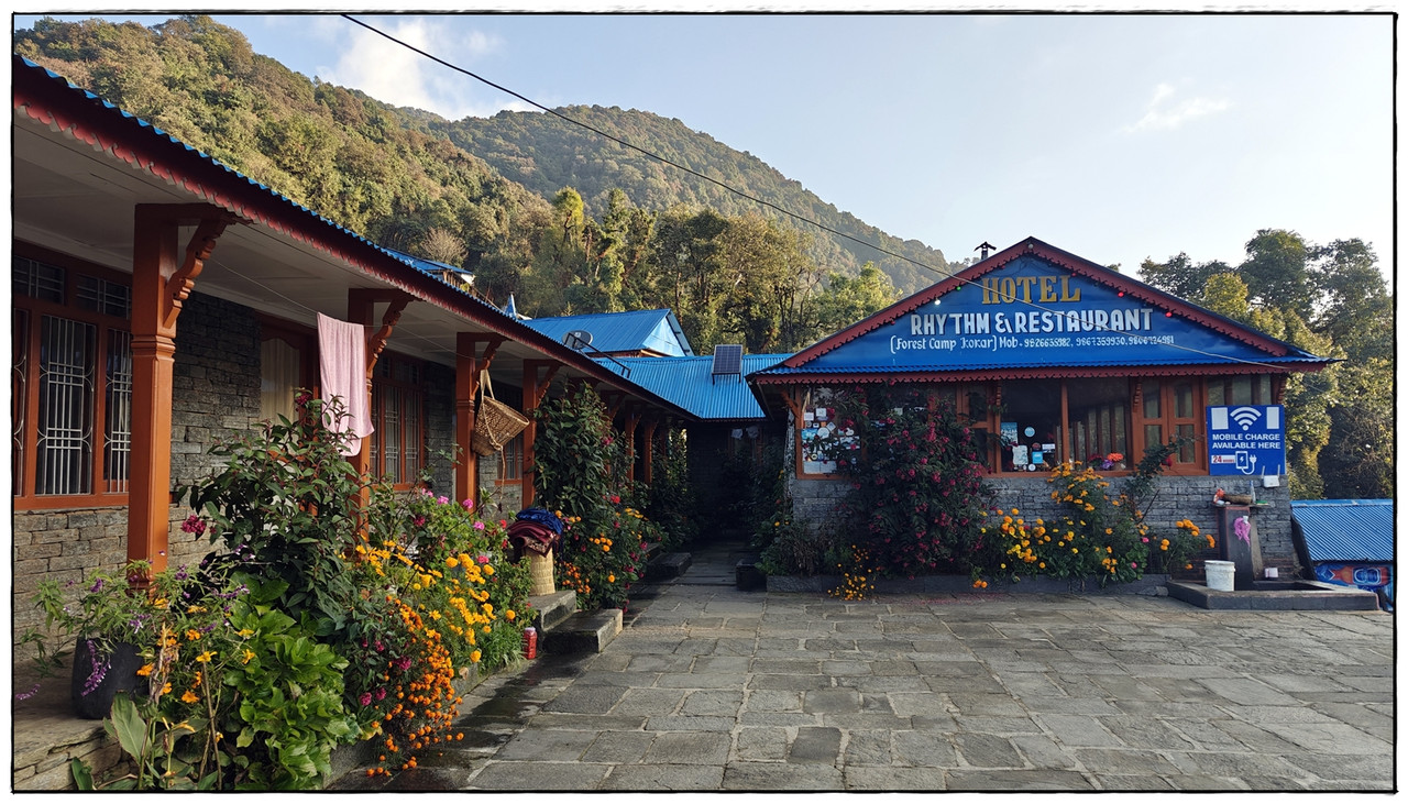 MH día 2: Pothana (2000 m) a Forest Camp (2448 m) - Trekking en Nepal: Annapurna Circuit y Mardi Himal (6)