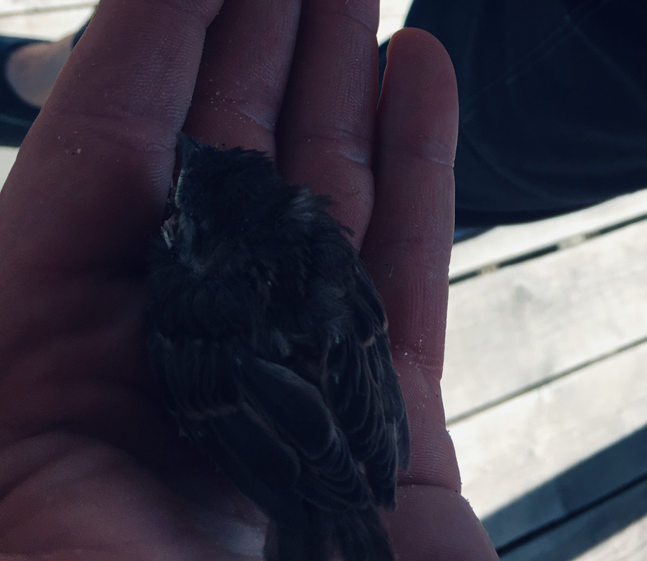 A3A53F30-0553-4C63-971A-51016D9E07FD