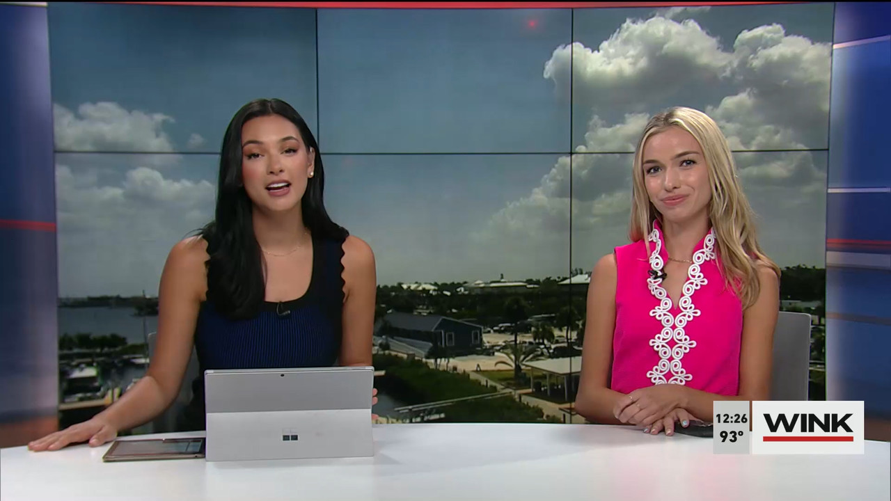 07.11 - 17.00.00 - The WINK Noon News. Midday news update..ts_snapshot_33.23.029