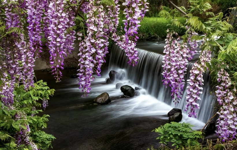 [Image: waterfall-number-2.png]