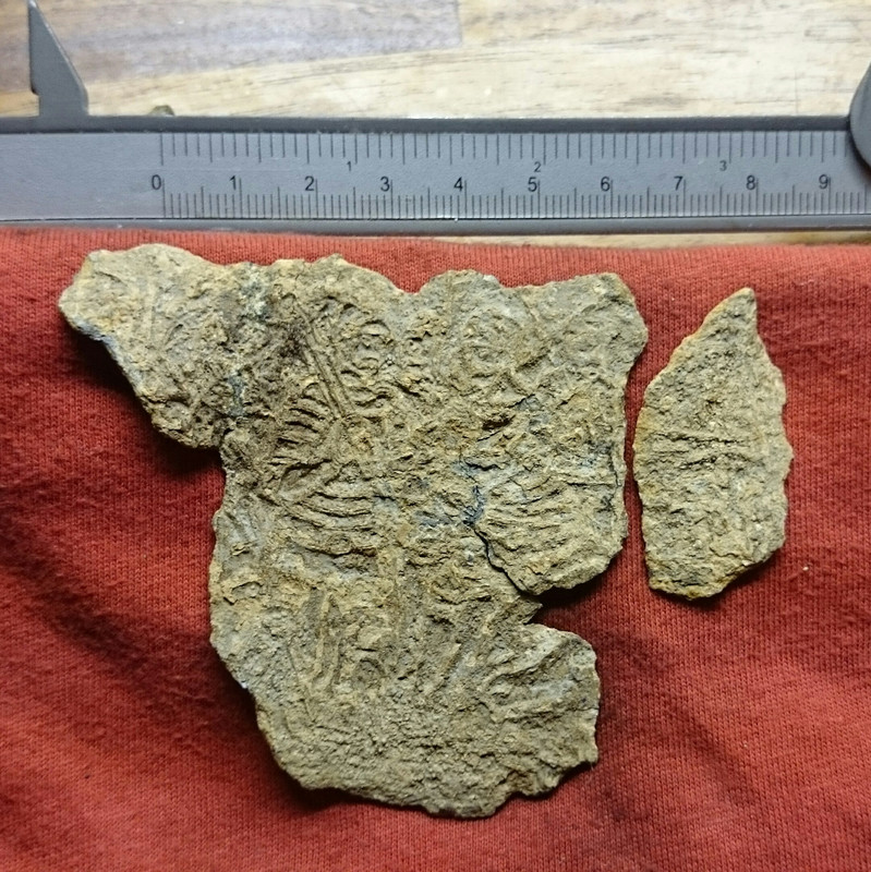 DSC_0007_20141026194157763