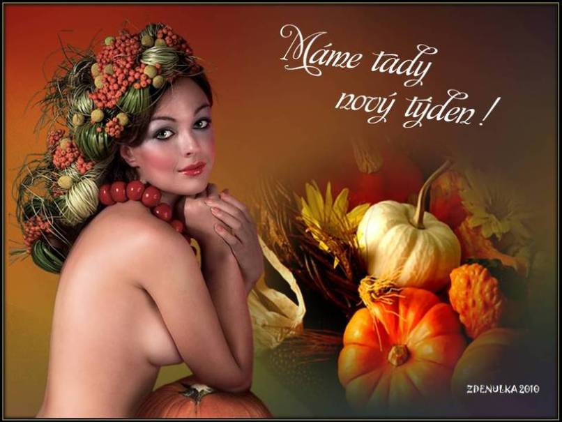 NOVY-TYDEN-s-dyni