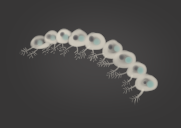 Featherchain.png