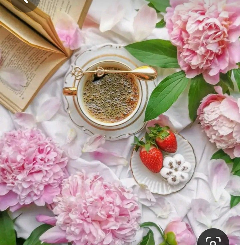 Screenshot_20230420_214420_Pinterest