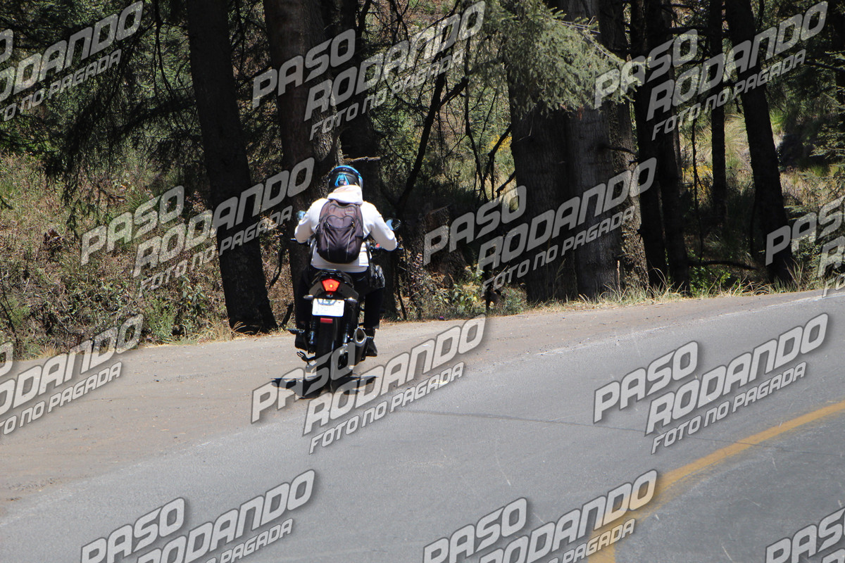 IMG 8061 wm 104823 69999999925 watermarked — Postimages