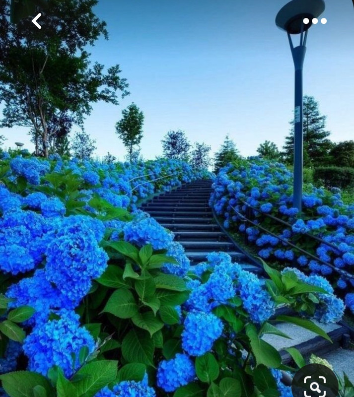 Screenshot_20230518_004759_Pinterest