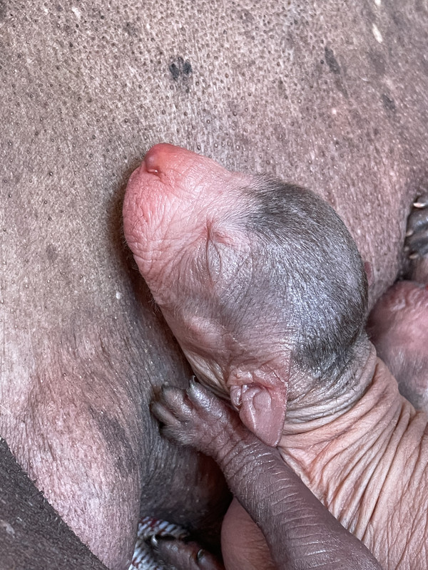 FEC0155F-80E0-42AC-8AAB-5799DA490F29