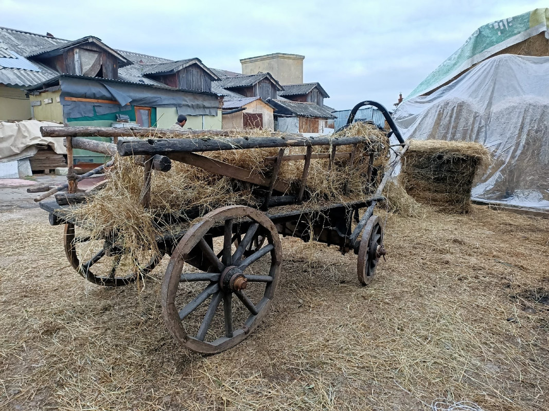 31169727-EDCA-455B-B38C-09D45C9FB91B