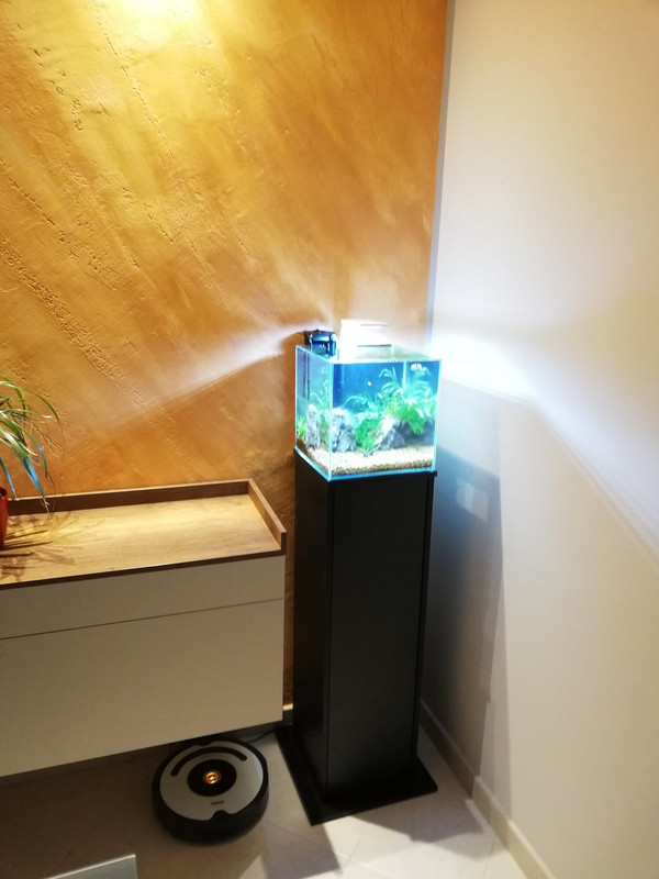 Caridinaio 30x30x30 (7)