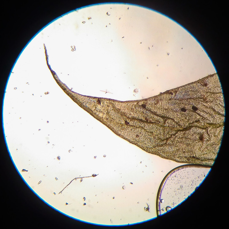 IMG 20250616 210502 HDR