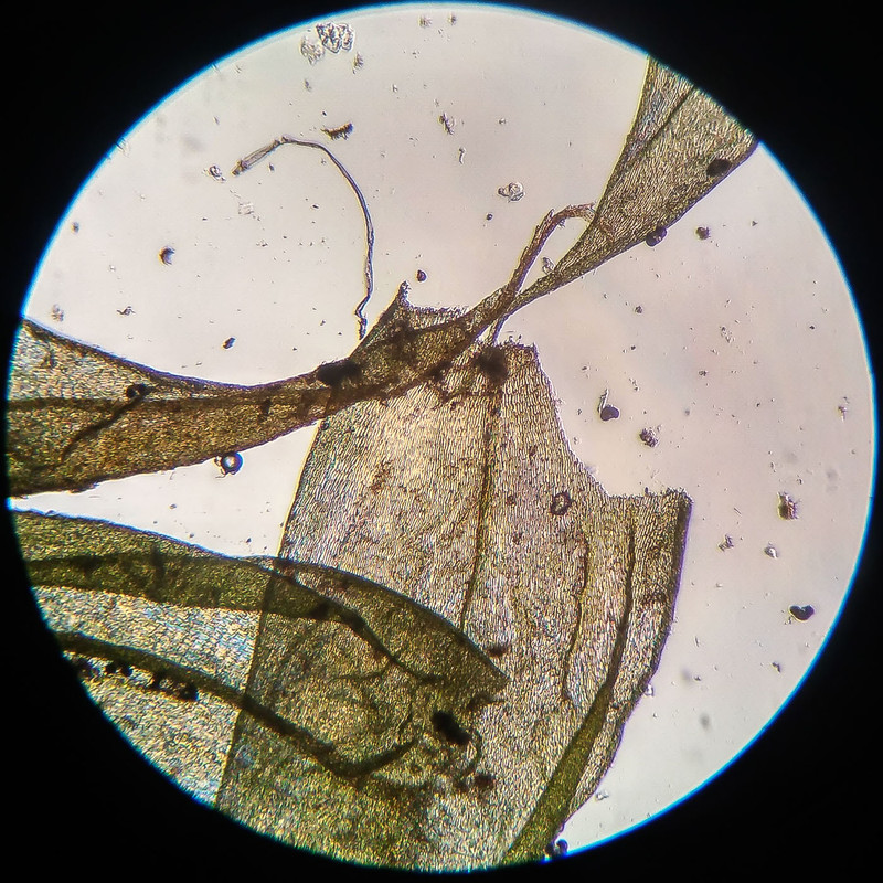 IMG 20250616 210721 HDR