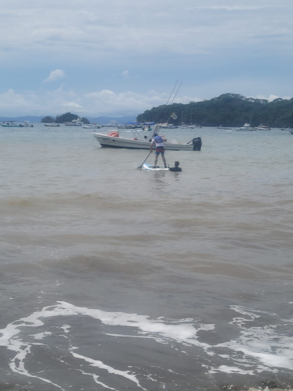 E3955839-9F44-4B26-9FE0-D5CD976730B3