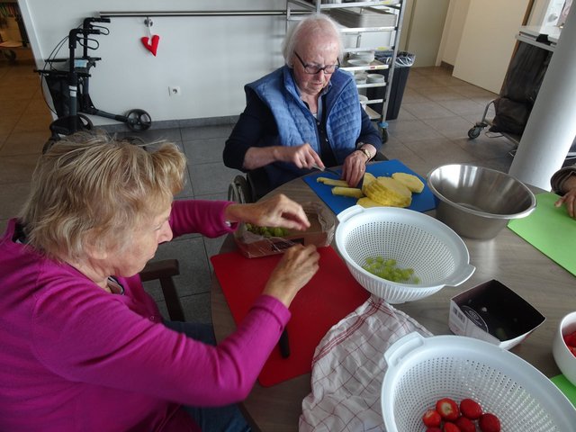 193962085-249764233610382-8527008249624142118-n