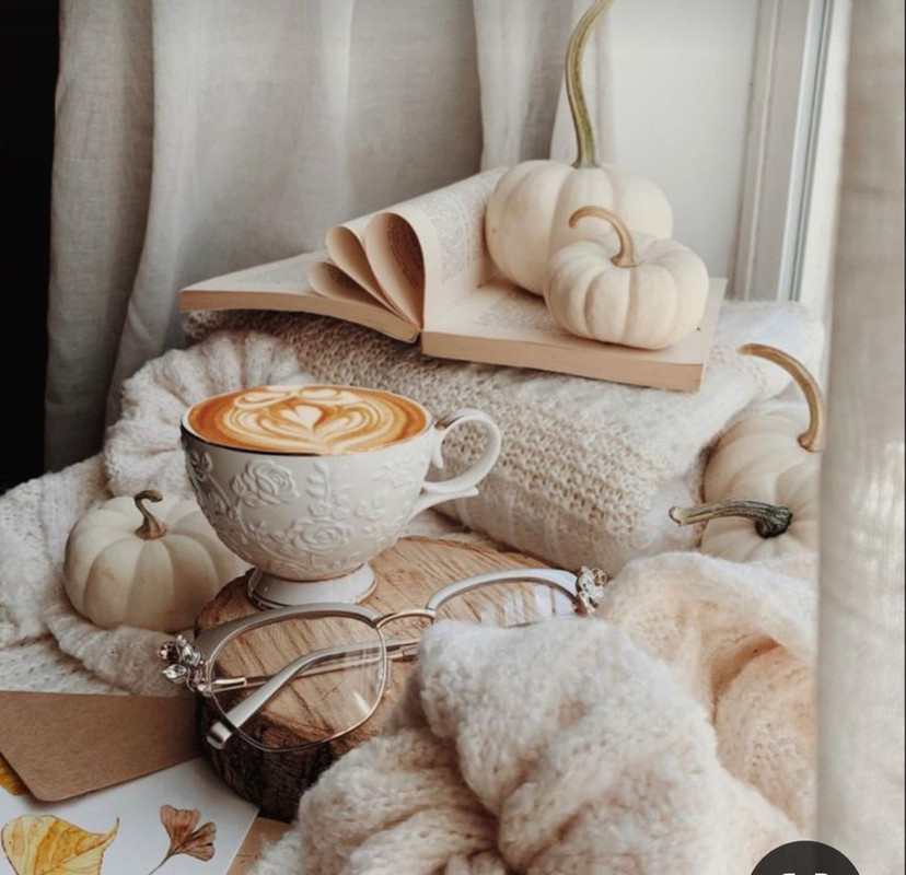 Screenshot_20231122_214310_Pinterest