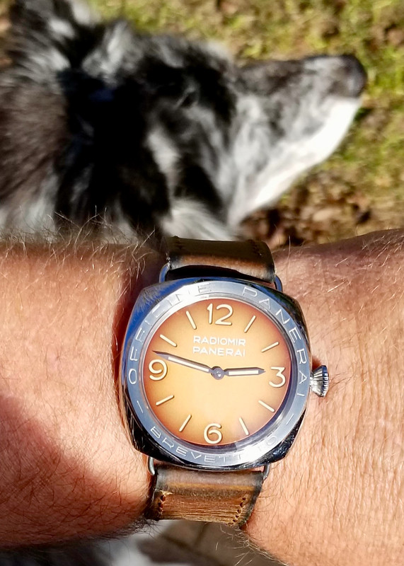 9F0C0195-CFE7-4542-91E8-DEA6541889DE