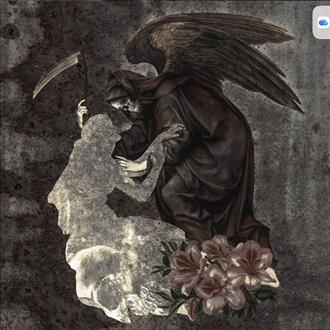 Movie cover image
