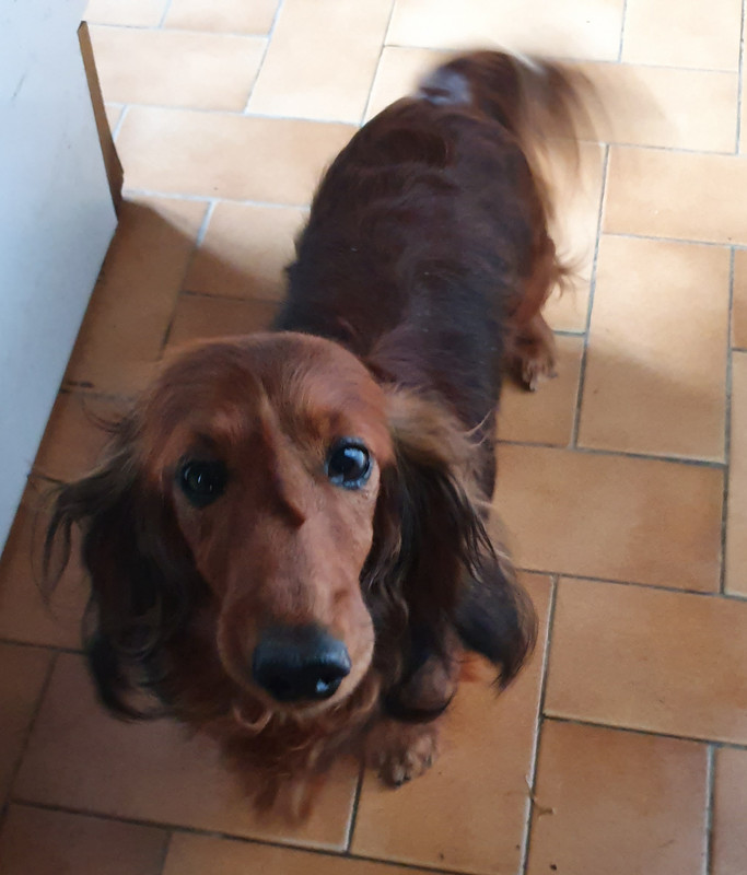 [Image: 20210502-193454.jpg]