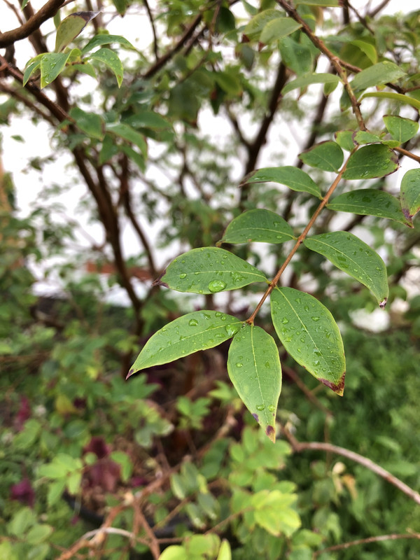 E2A579CC-587C-4DCD-BDC4-59A92EA7477A