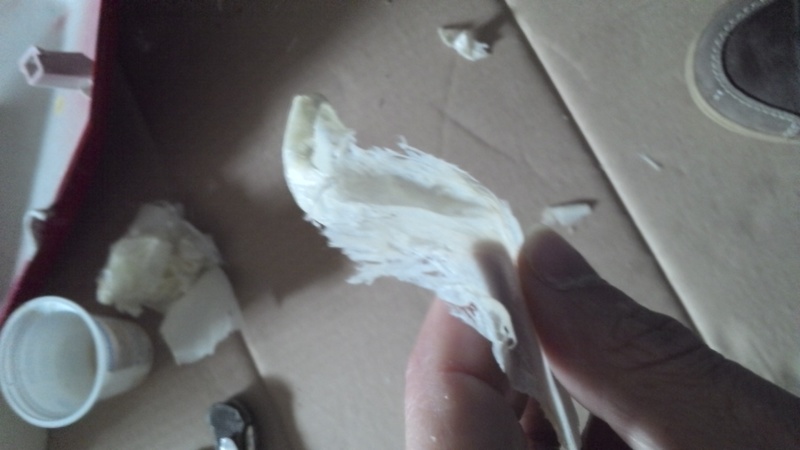 IMG_20130320_133305_314