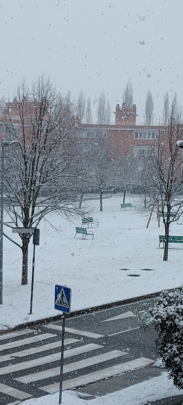 16101978398998841408780935769834