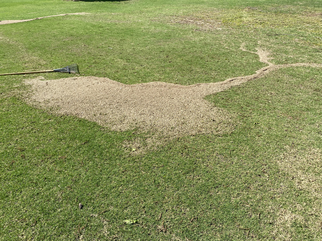 1DCC7F72-2584-4BF5-954B-1B84D42E3E7B