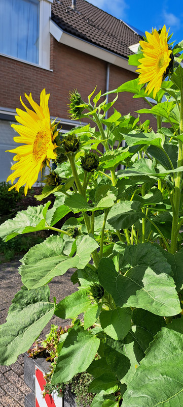 [Image: 20230807-101226.jpg]