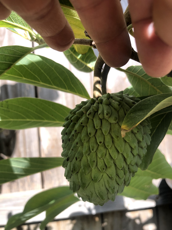 D9089F9D-0437-4C58-AF98-45730932FA64