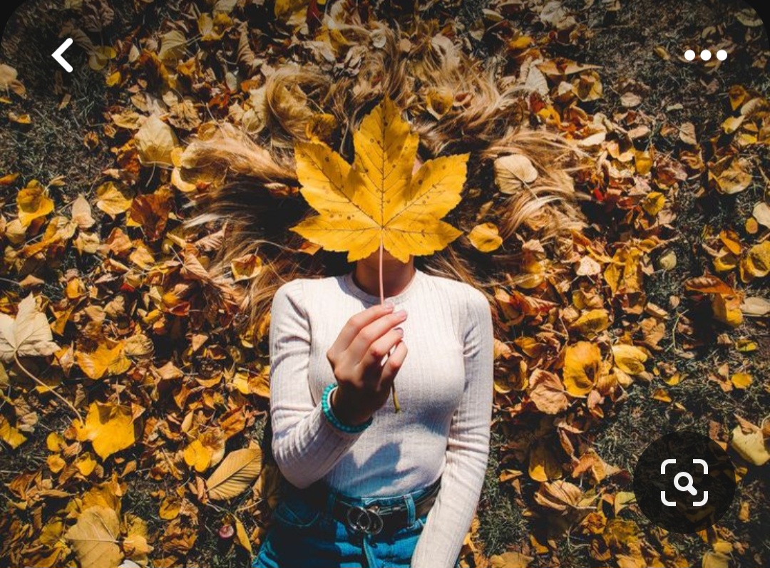 Screenshot_20231127_223300_Pinterest