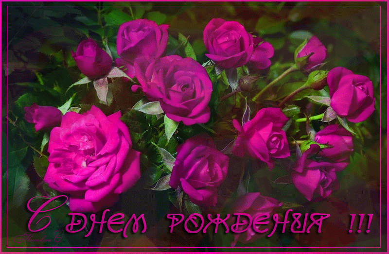 https://i.postimg.cc/76ZtDKfS/d16a030ob1oc8c28316f1d1105a7d6dl.gif