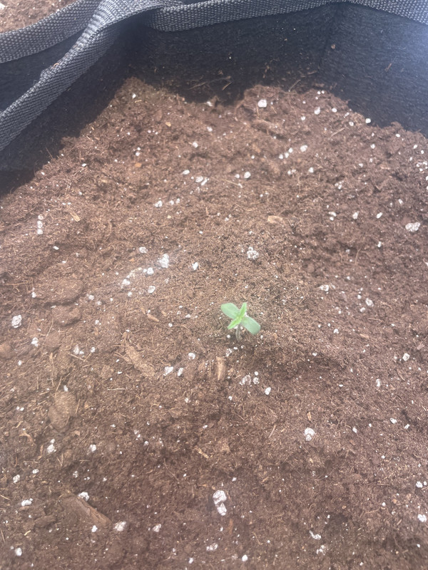 27673553-9F95-4F43-963F-B34981CD26B6