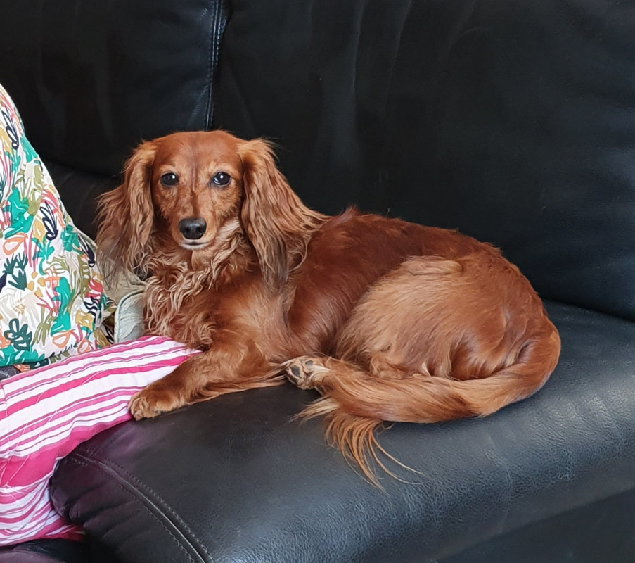 [Image: 20230528-152858-NEVADA.jpg]