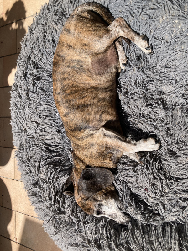 [Image: IMG-1675.jpg]