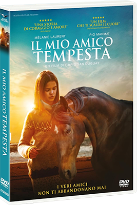 Il Mio Amico Tempesta 2022 .avi AC3 DVDRIP - ITA - italyparadiso