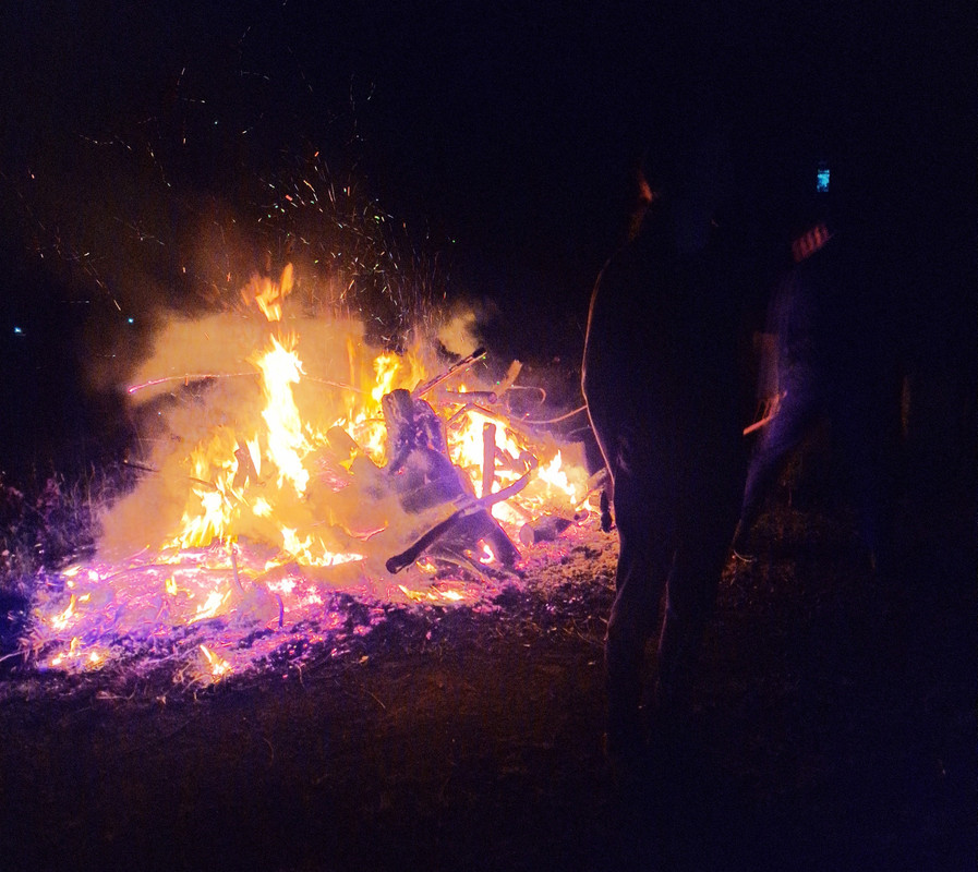 Bonfire