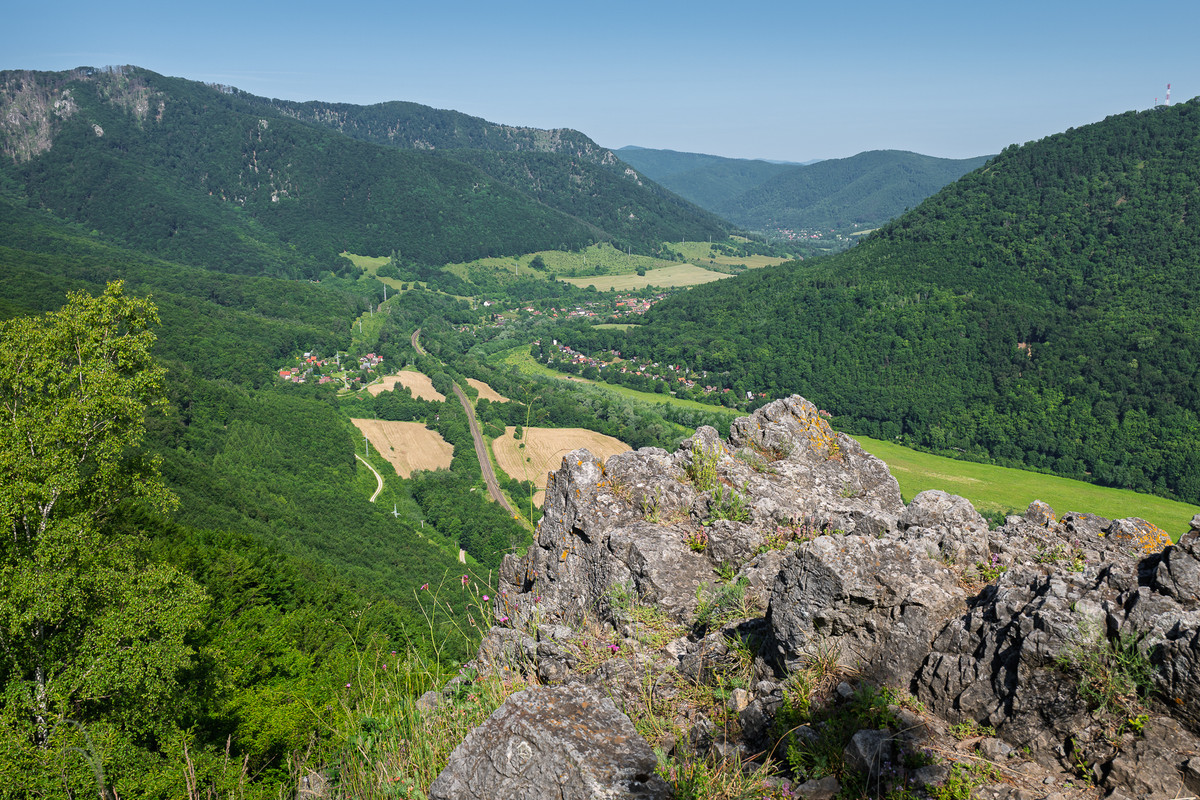 Obrázek