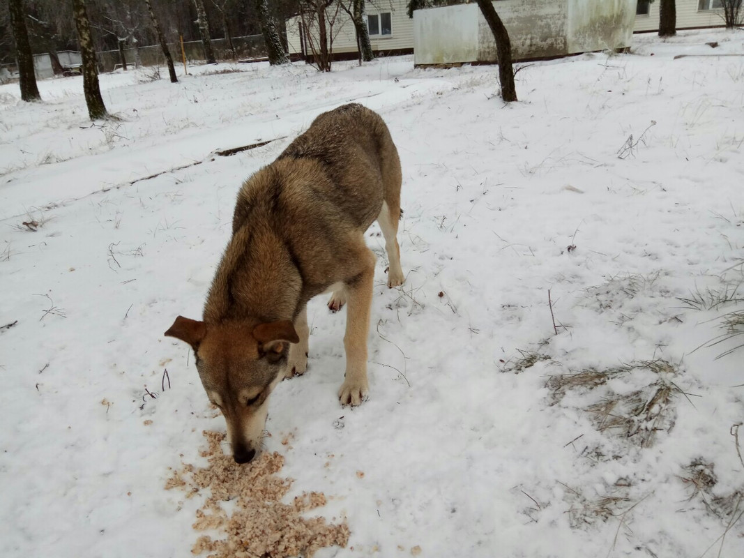 C0536E91-7017-45C1-AA85-AC9B5F7D2798