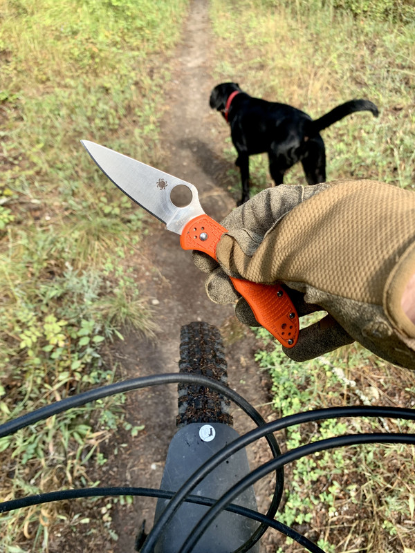 3BD23738-086B-4491-817E-6B484E069A36