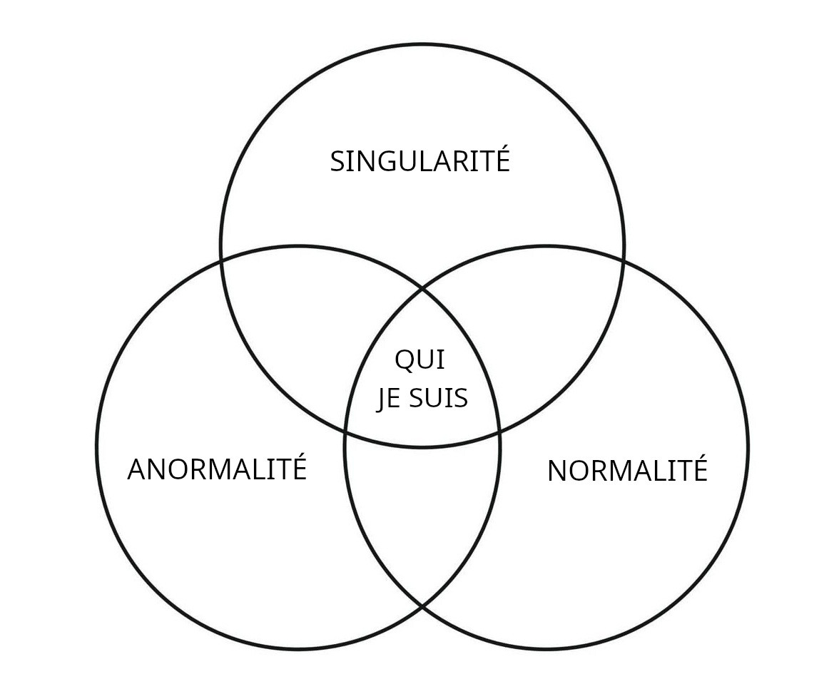 Normal Anormal Singulier