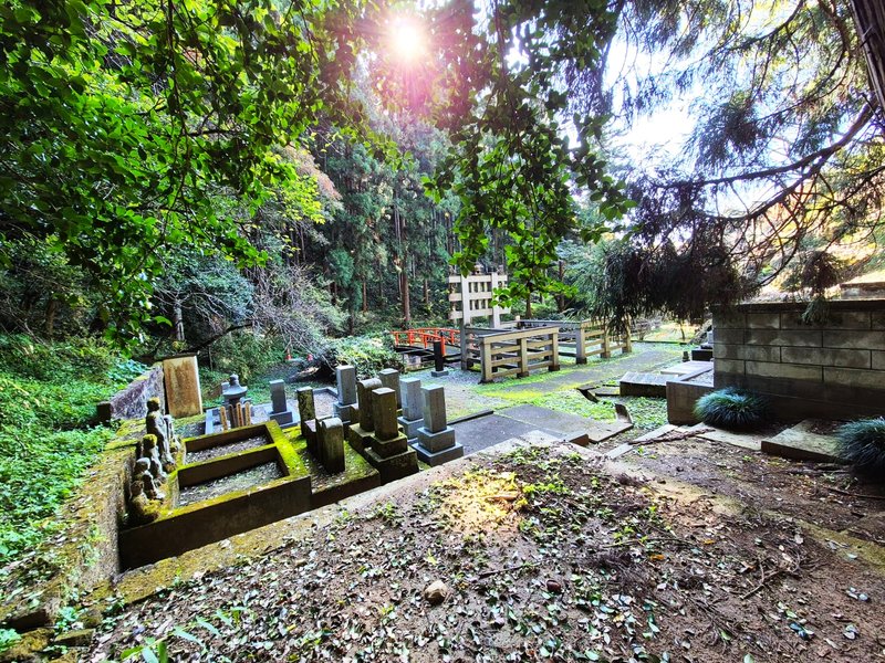 Japón y sus Pueblos-2024 - Blogs de Japon - Heiwa Kannon y Templo Ooyaji-13-11-2024 (55)