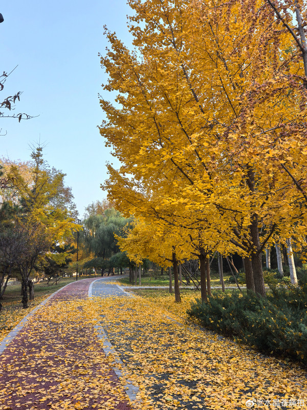 5dfe996bly1i74x9d1pqjj22dc35sqv9