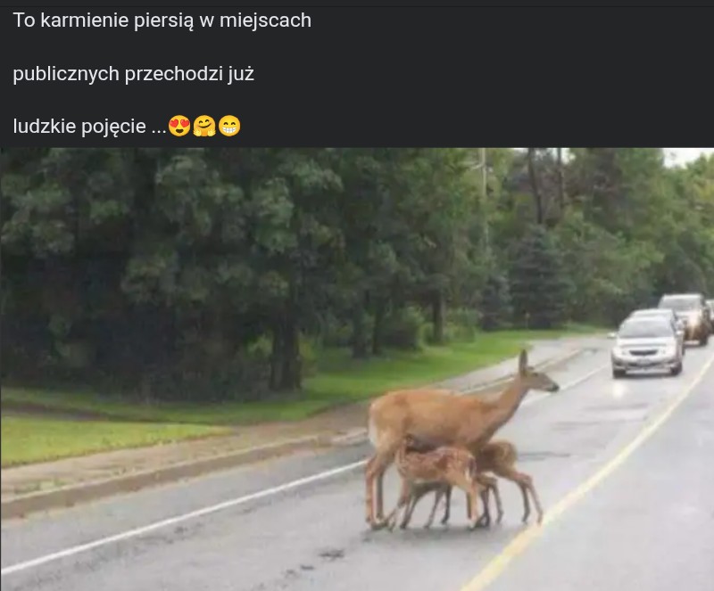 Screenshot_20250912-190723~2