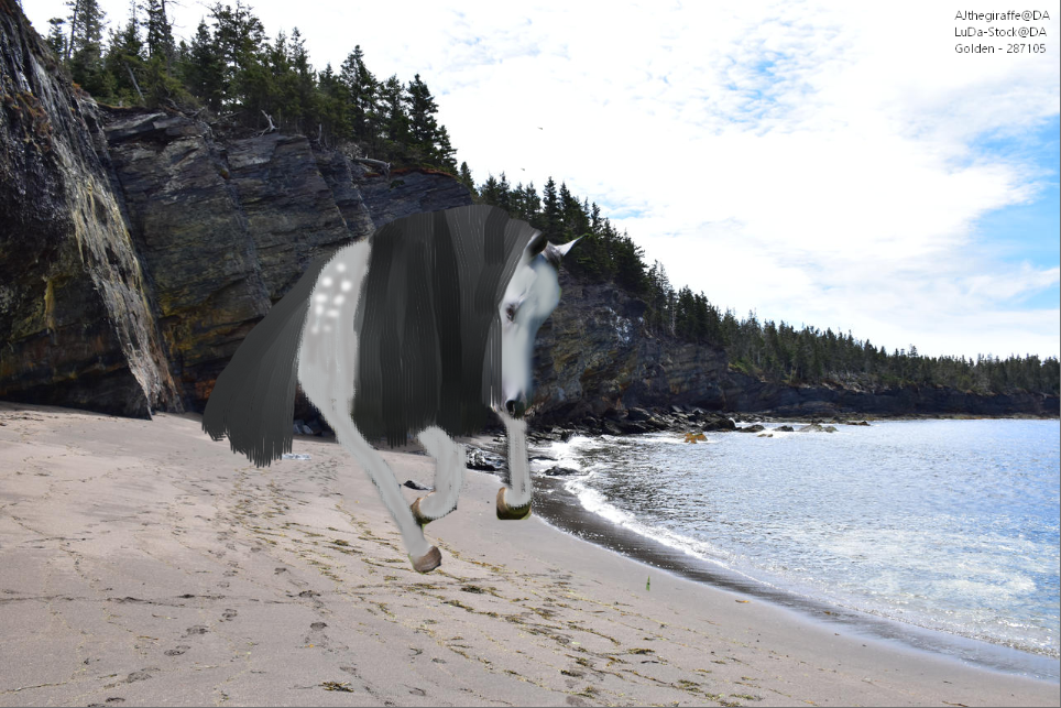 Horse-Shore.png