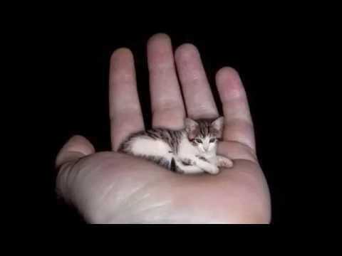 d89bbdc9404a543b49bf7c55ad00430d