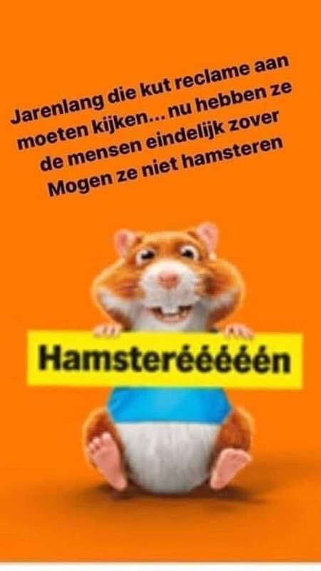 hamster.jpg