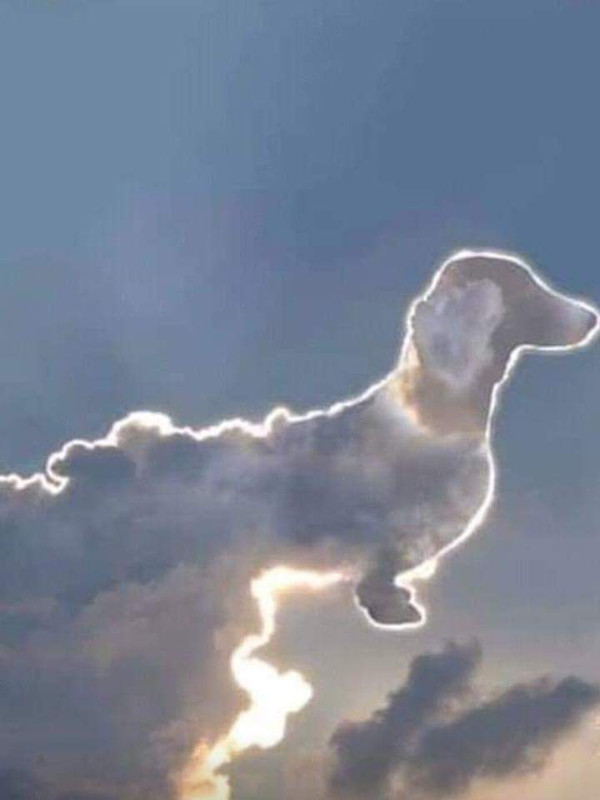 [Image: 573586-AE-72-BD-4-E88-B6-F1-571-C11112-DD6.jpg]