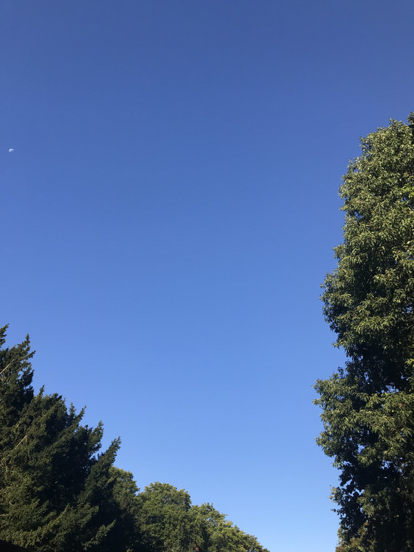 50D80CD1-3B4F-4F18-9FDC-AC22566AAE44